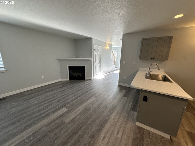 4238 SE 120th Ave, Portland, OR 97266 - kitchen with a sink, dark wood-type flooring, a fireplace, baseboards, and a textured ceiling