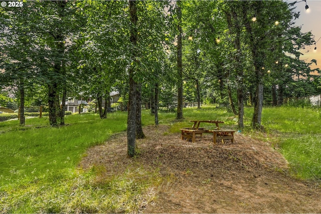 20681 S Wisteria Rd, West Linn, OR 97068 - view of yard at dusk