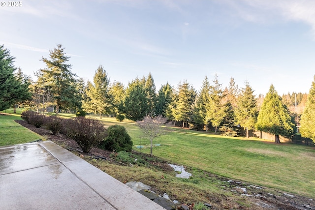 view of yard with a patio area