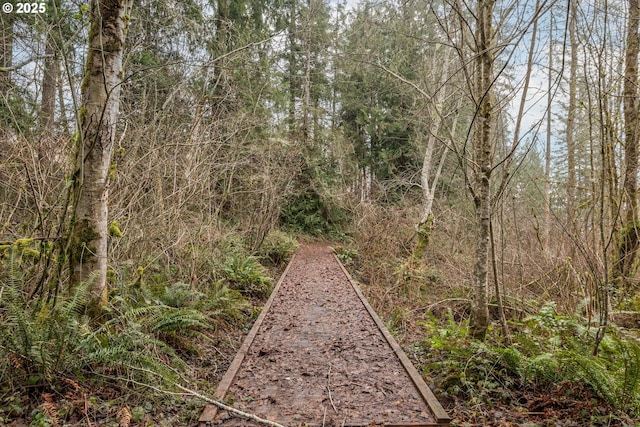 view of local wilderness