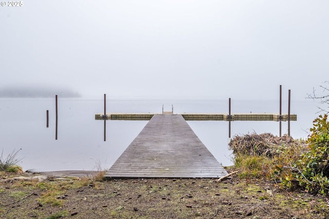 dock area featuring a water view