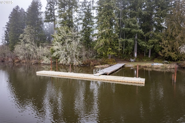 view of dock with a water view