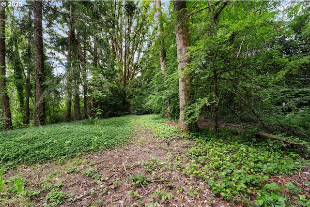 6455 SW Scholls Ferry Rd, Portland, OR 97223 - view of yard with a view of trees