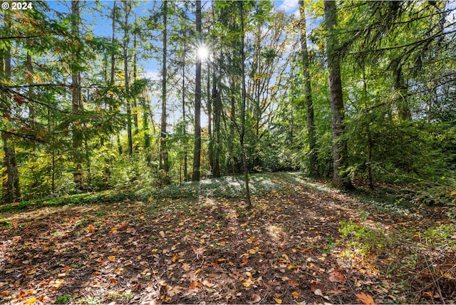 6455 SW Scholls Ferry Rd, Portland, OR 97223 - view of woods