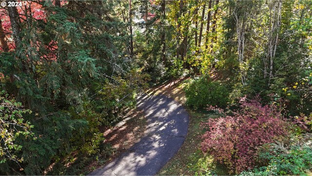 6455 SW Scholls Ferry Rd, Portland, OR 97223 - view of road featuring a forest view