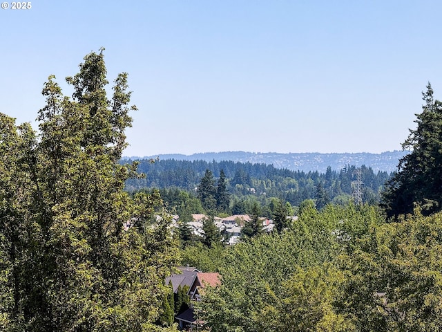 13143 SW Brianne Way, Portland, OR 97223 - mountain view with a heavily wooded area