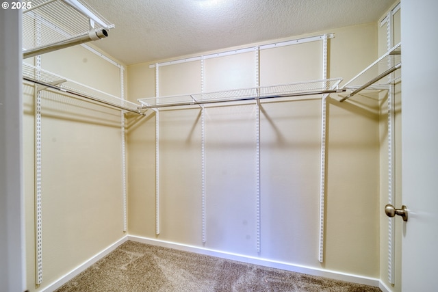 walk in closet featuring carpet