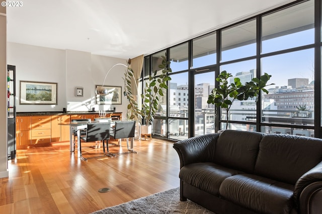 living room with a wall of windows and light wood-type flooring