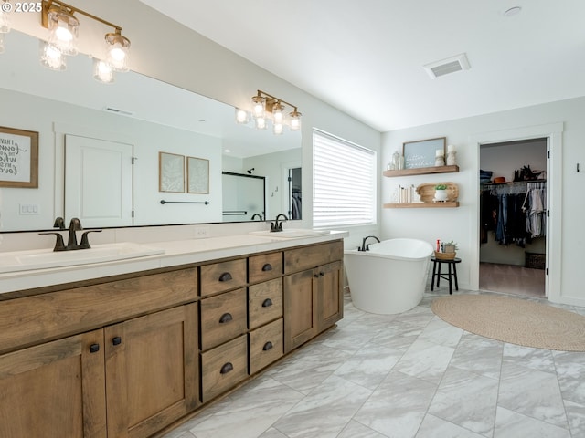 bathroom with vanity and independent shower and bath