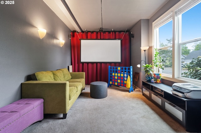 28575 SW Sandalwood Dr, Wilsonville, OR 97070 - home theater room with carpet