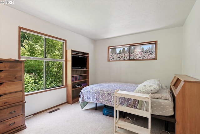 18194 Shady Hollow Way W, Linn, OR 97068 - carpeted bedroom with multiple windows