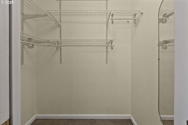263 Ferndale Dr, Eugene, OR 97404 - walk in closet with carpet flooring
