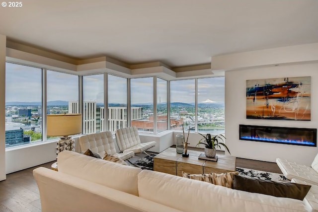 living room featuring wood finished floors, a glass covered fireplace, and a view of city