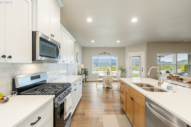 847 Pebble Crk St, Sutherlin, OR 97479 - kitchen featuring stainless steel appliances, a sink, light countertops, and recessed lighting
