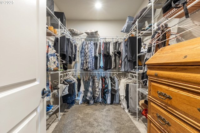 847 Pebble Crk St, Sutherlin, OR 97479 - view of spacious closet