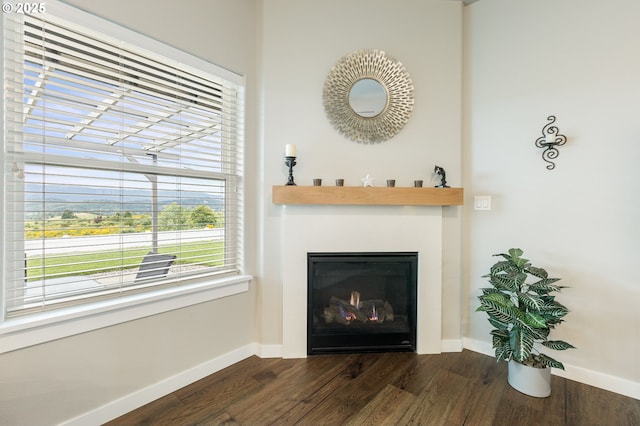 847 Pebble Crk St, Sutherlin, OR 97479 - detailed view of baseboards, wood finished floors, and a glass covered fireplace