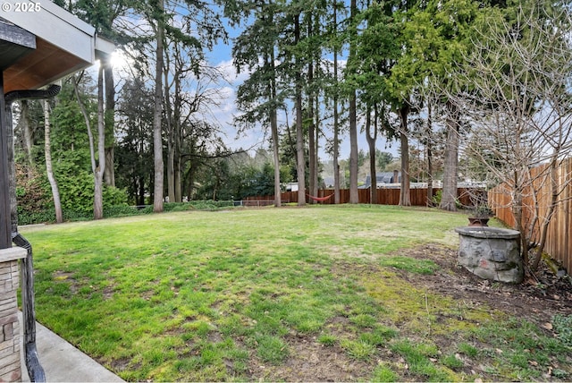 view of yard featuring a fenced backyard