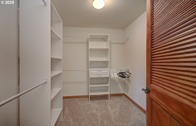 46135 E Avery Rd, Chehalis, WA 98532 - spacious closet with carpet flooring