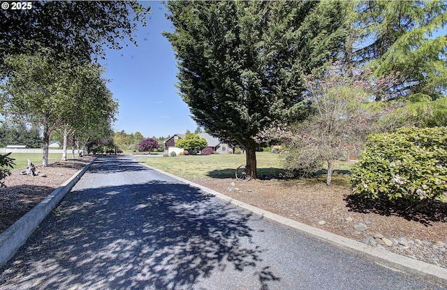 46135 E Avery Rd, Chehalis, WA 98532 - view of street with curbs