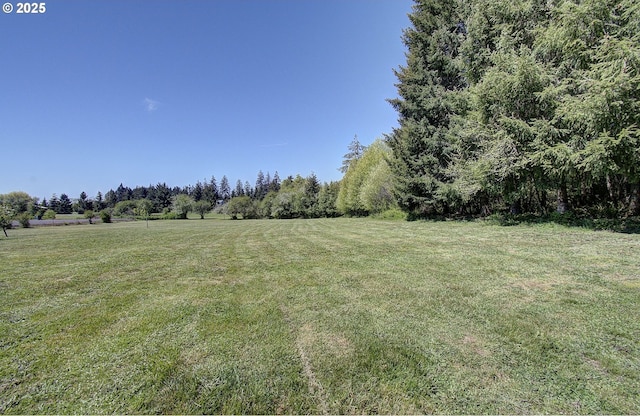 46135 E Avery Rd, Chehalis, WA 98532 - view of yard featuring a rural view