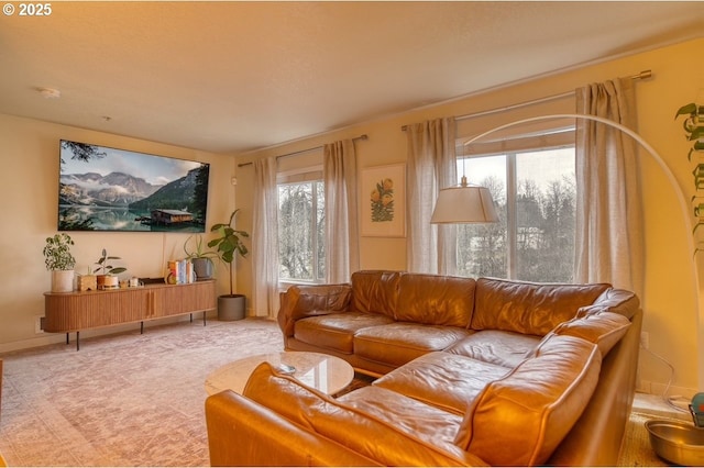 living room with carpet floors