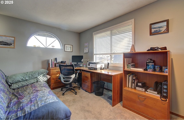 office space featuring light colored carpet and a textured ceiling