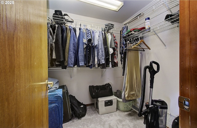 spacious closet with carpet flooring