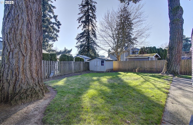 view of yard featuring a shed