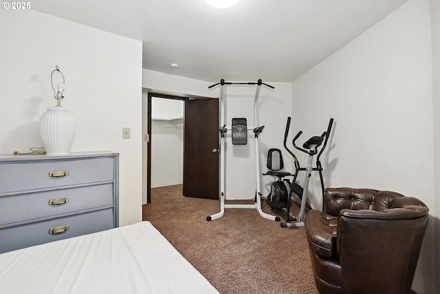bedroom with carpet flooring