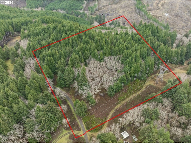 N S-Low Rd, Seal Rock OR, 97376 land for sale