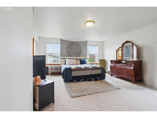 carpeted bedroom with multiple windows