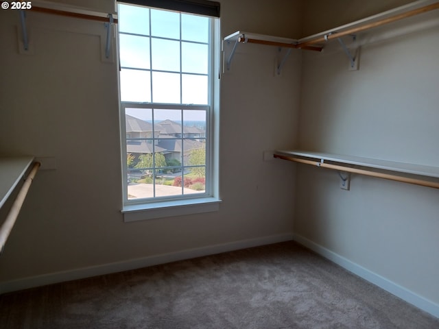 3625 Snowberry Rd, Eugene, OR 97403 - walk in closet featuring carpet flooring
