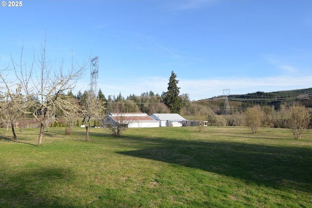 1397 State Route 506, Vader, WA 98593 - view of grassy yard