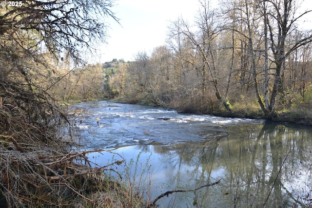 1397 State Route 506, Vader, WA 98593 - water view featuring a heavily wooded area