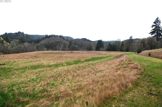 1397 State Route 506, Vader, WA 98593 - view of yard featuring a view of rural / pastoral area