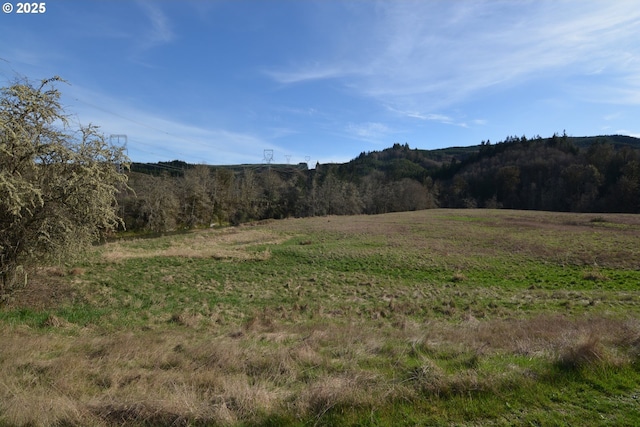 1397 State Route 506, Vader, WA 98593 - view of mountain background with rural landscape