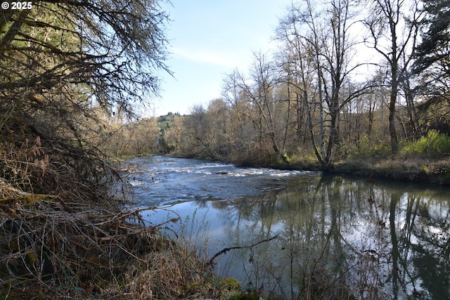 1397 State Route 506, Vader, WA 98593 - water view with a heavily wooded area