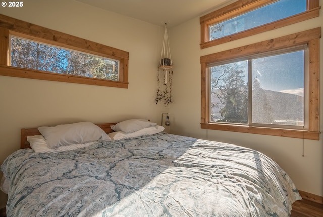 bedroom with multiple windows