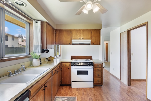15605 SE 5th St, Vancouver, WA 98684 - kitchen featuring white electric stove, under cabinet range hood, light wood-type flooring, light countertops, and brown cabinetry