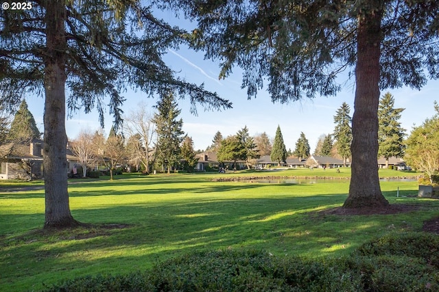 view of property's community featuring a lawn