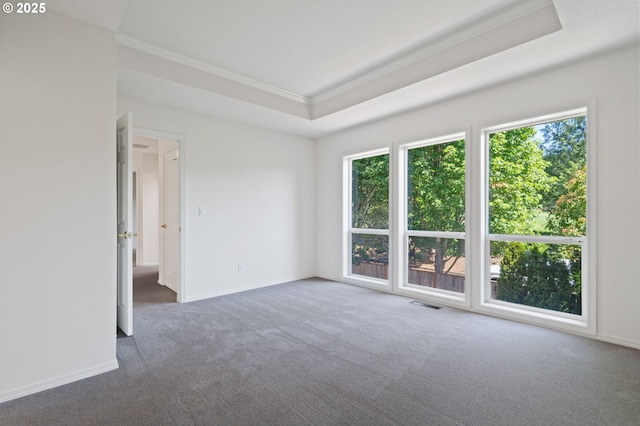 14067 Chatham Ct, Lake Oswego, OR 97035 - carpeted spare room featuring ornamental molding and a tray ceiling
