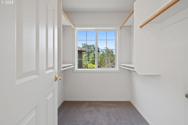 14067 Chatham Ct, Lake Oswego, OR 97035 - walk in closet with carpet flooring