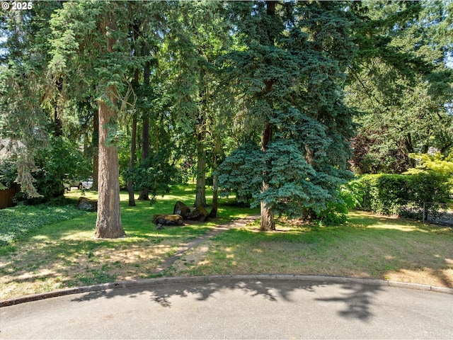 17810 Sarah Hill Ln, Lake Oswego, OR 97035 - view of green lawn