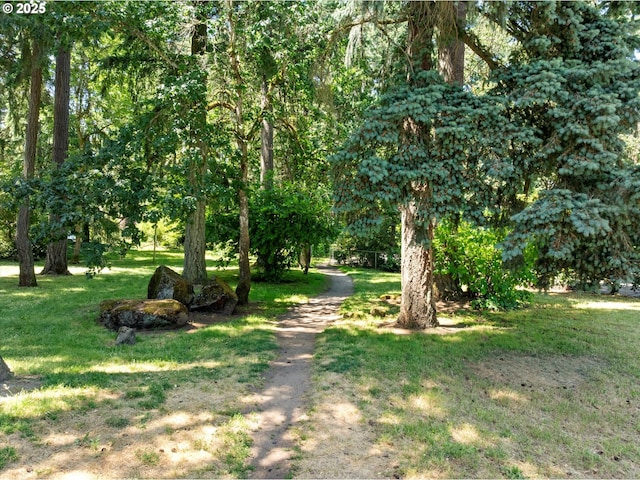 17810 Sarah Hill Ln, Lake Oswego, OR 97035 - view of green lawn