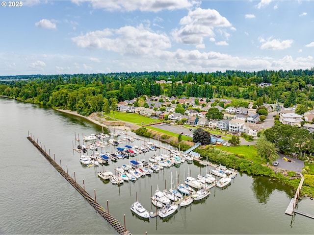 13811 SE 36th St, Vancouver, WA 98683 - aerial view of numerous boat docks, a large body of water, and a heavily wooded area