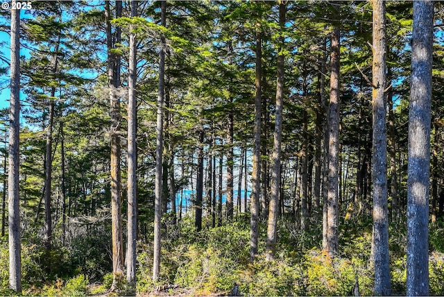 view of landscape featuring a view of trees