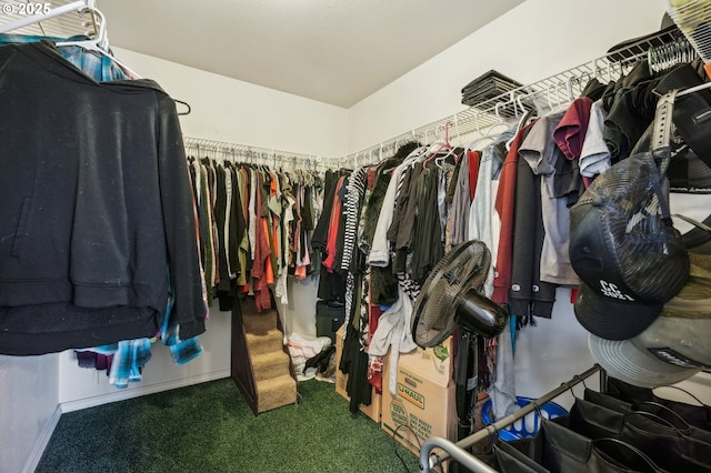spacious closet featuring carpet floors