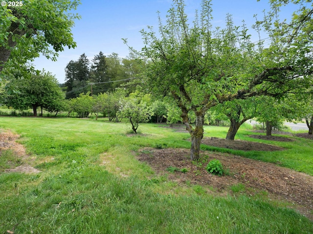 18036 NW Emmaus Ln, Portland, OR 97231 - view of green lawn