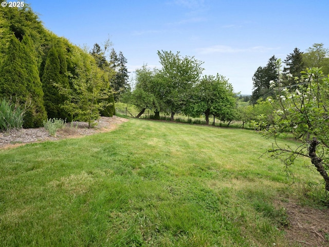 18036 NW Emmaus Ln, Portland, OR 97231 - view of grassy yard