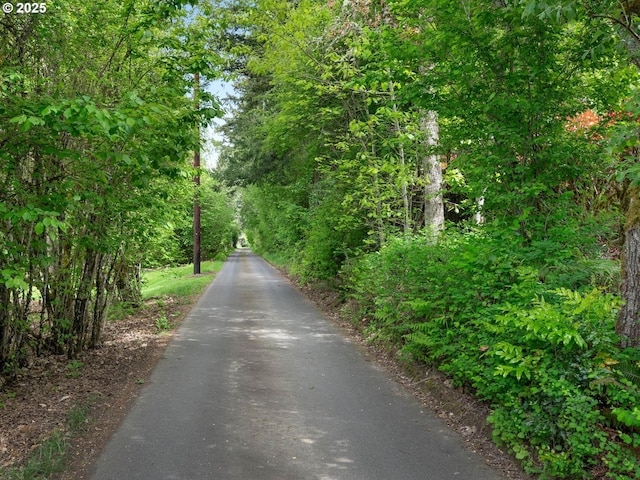 18036 NW Emmaus Ln, Portland, OR 97231 - view of asphalt street